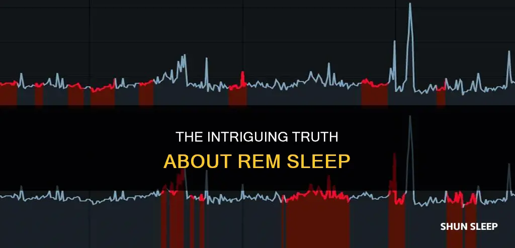 which of the following statements regarding rem sleep ist rue