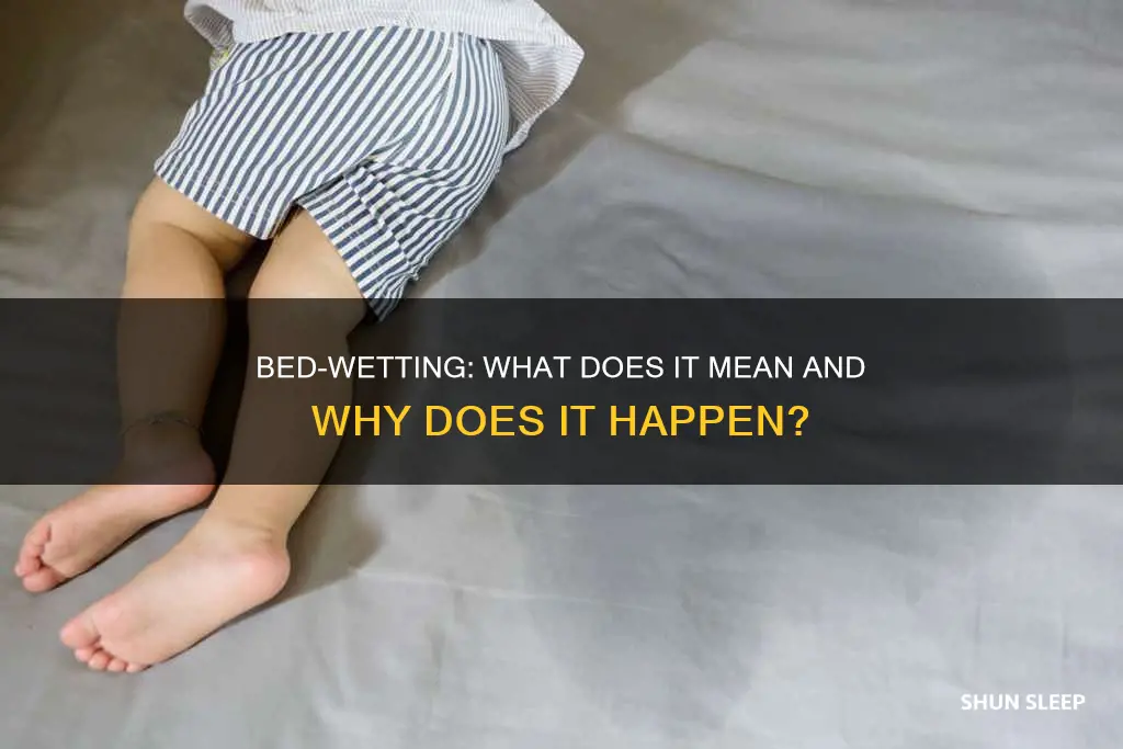 which of the following terms means involuntary urination during sleep