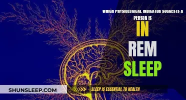 Brain Waves and REM Sleep: What's the Link?