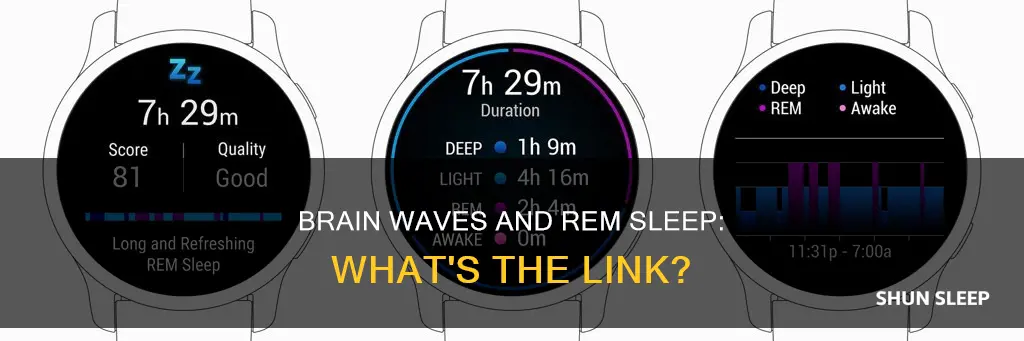 which physiological indicator suggests a person is in rem sleep