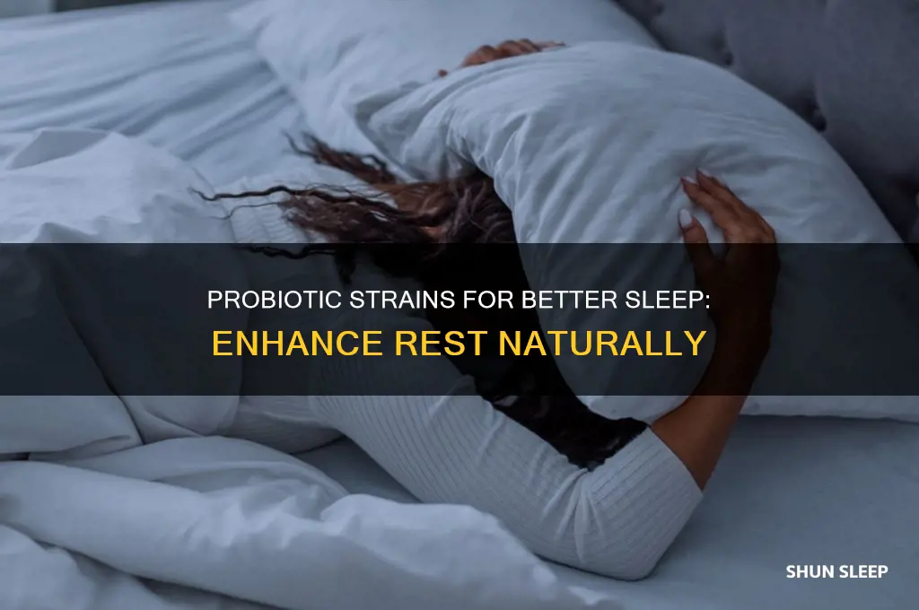 which probiotic strains help you sleep