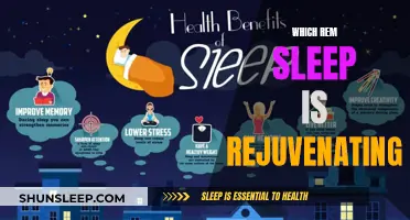 The Rejuvenating Power of REM Sleep Stages