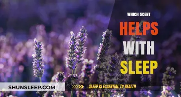 Aromatherapy for Better Sleep: Scents to Enhance Restful Nights