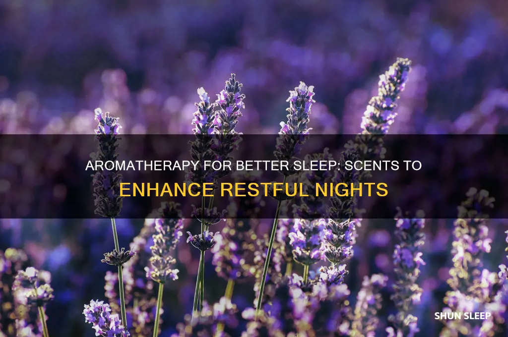 which scent helps with sleep