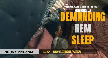 Metabolic Demands of REM Sleep: Understanding the Mystery