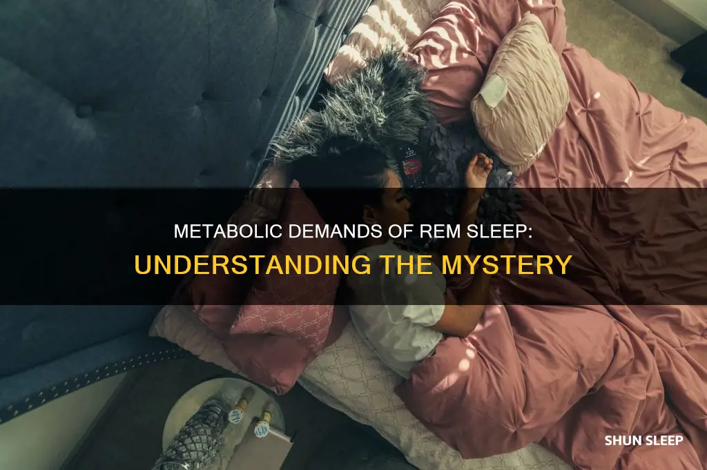 which sleep stage is the most metabolically demanding rem sleep