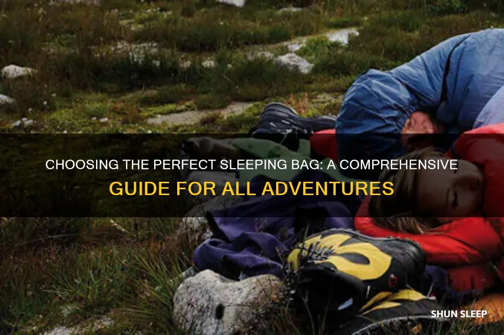 which sleeping bag to get