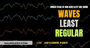 Brain Waves During Non-REM Sleep: Irregular Patterns Explained