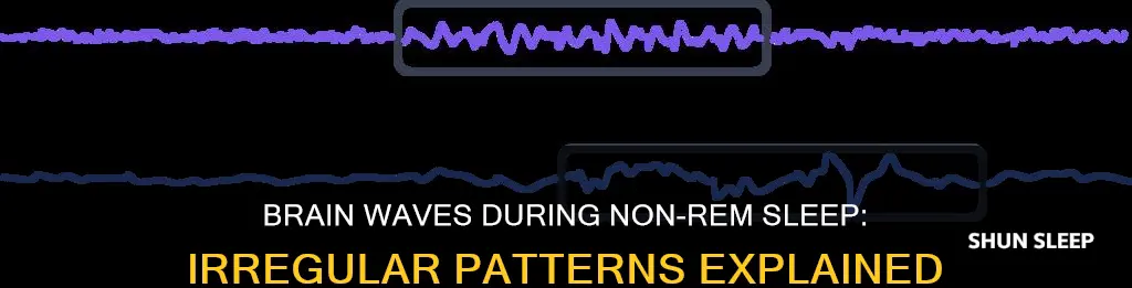 which stage of non-rem sleep are brain waves least regular