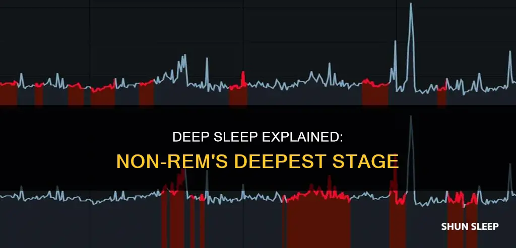 which stage of non rem sleep is the deepest