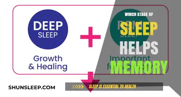 Unlocking Memory: The Crucial Sleep Stage for Cognitive Retention