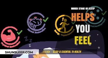 Unveiling the Sleep Stage That Boosts Your Daily Energy and Mood