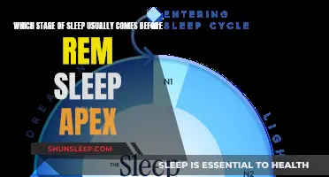 Sleep Stages: Understanding the Pre-REM Phase