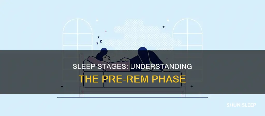 which stage of sleep usually comes before rem sleep apex