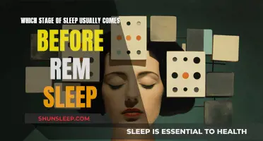 Understanding Sleep: The Pre-REM Stage Explained