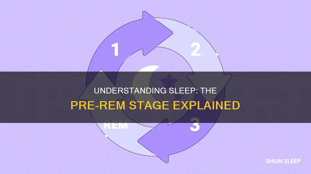 which stage of sleep usually comes before rem sleep