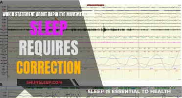 The Mystery of REM Sleep: What We Get Wrong