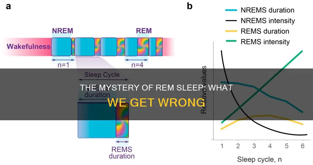 which statement about rapid eye movement rem sleep requires correction