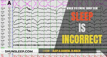 REM Sleep: Understanding the Correct Statements About This Sleep Stage