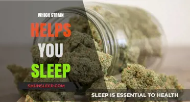 Best Cannabis Strains for Better Sleep: Find Your Perfect Match