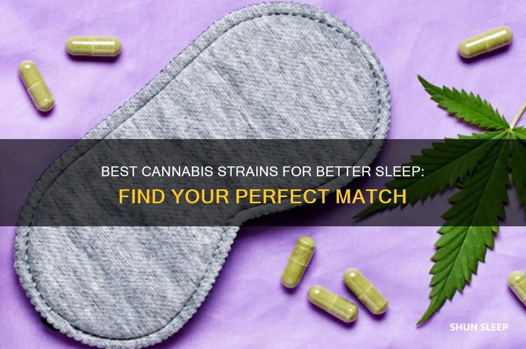 which strain helps you sleep