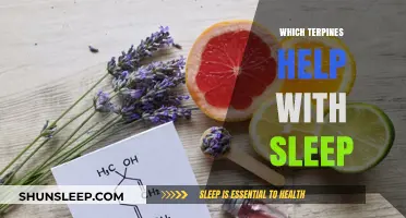 Terpenes for Better Sleep: Natural Compounds to Enhance Restful Nights