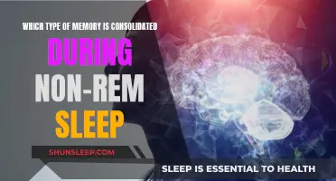 Understanding Memory Consolidation During Non-REM Sleep