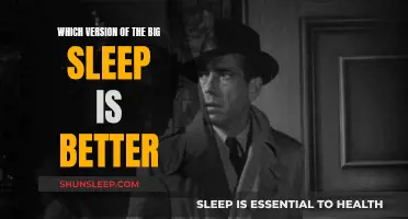 Comparing Versions of The Big Sleep: Which is Better?