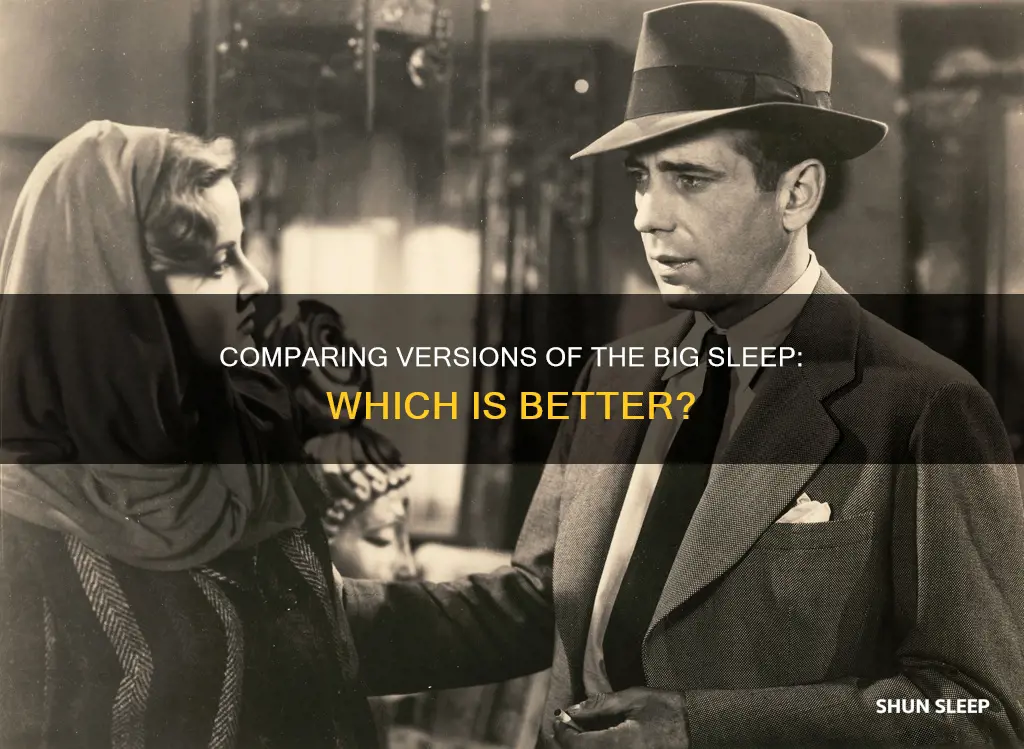which version of the big sleep is better