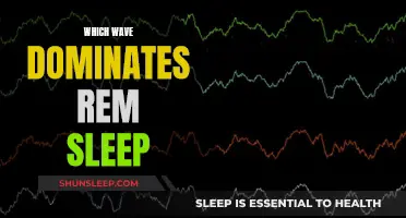 Brain Waves During REM Sleep: A Dominant Force