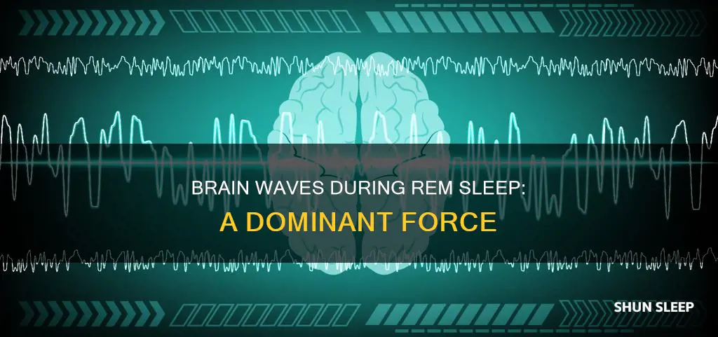 which wave dominates rem sleep