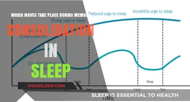Brain Waves During Sleep: Memory Consolidation