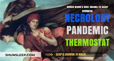 Exploring the Roots of Hypnotic, Necrology, and More
