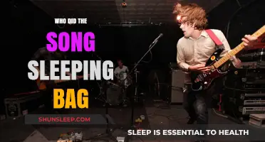 Classic Song Sleeping Bag: Who Sang It?