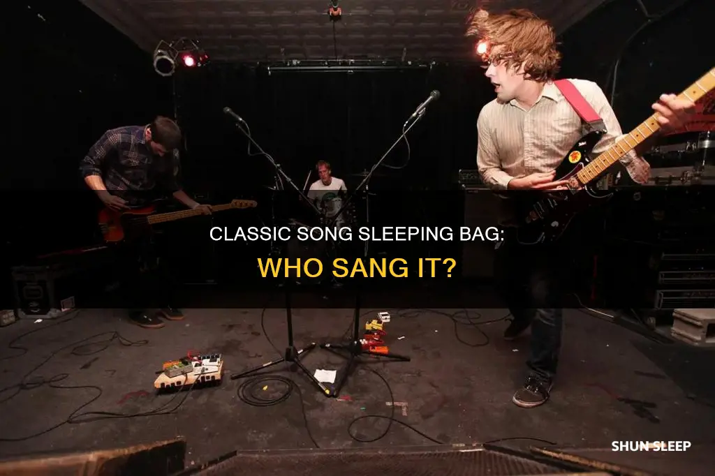who did the song sleeping bag