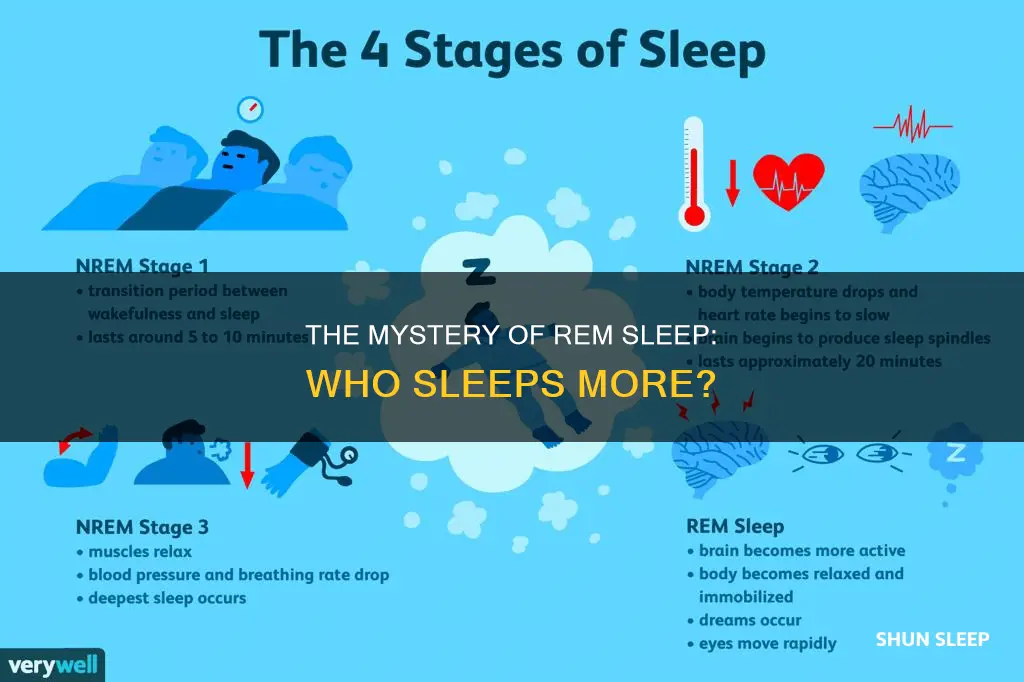 who engages in more rem sleep