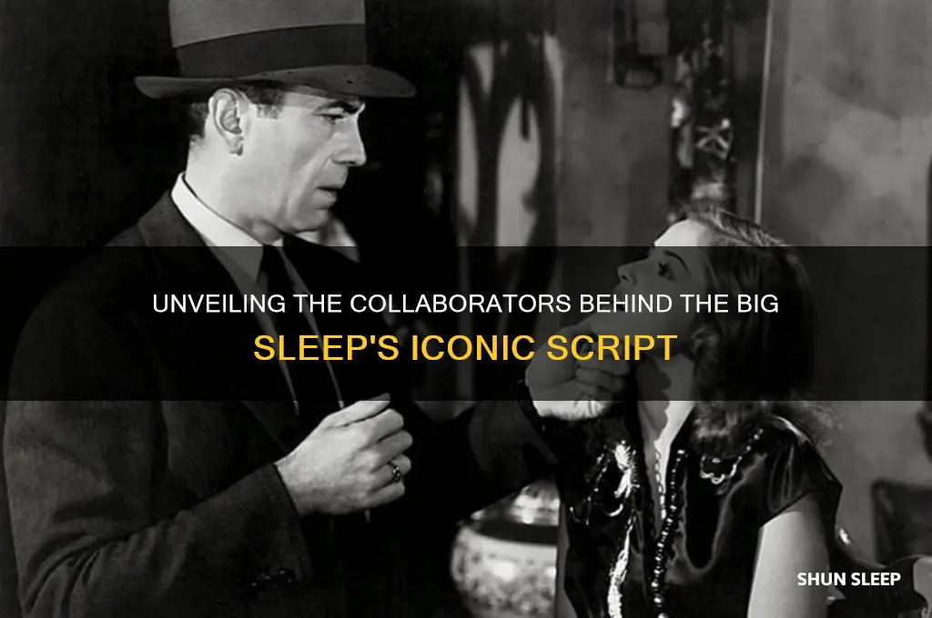 who helped the big sleep script