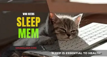Sleep? Who Needs It? Embrace the Memes!
