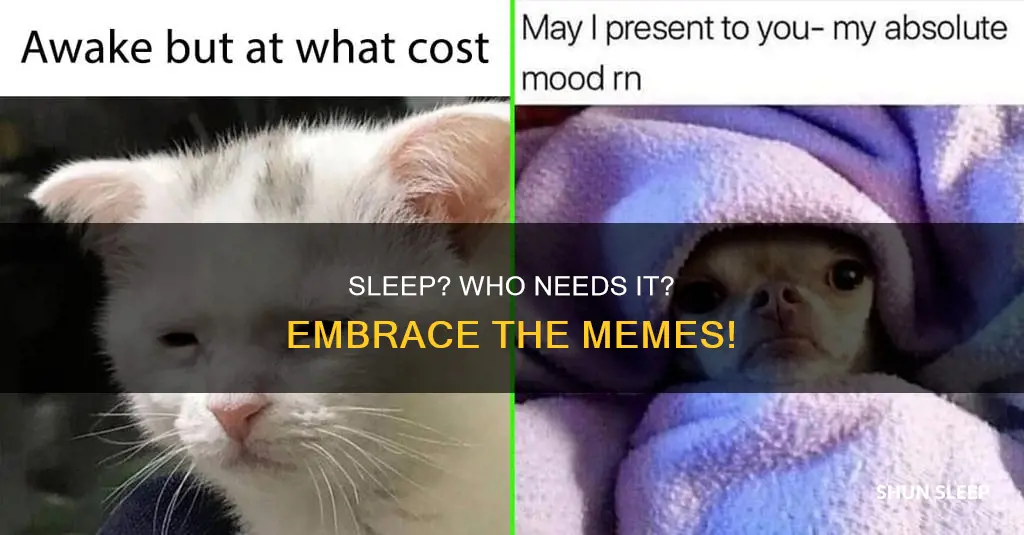 who needs sleep mem