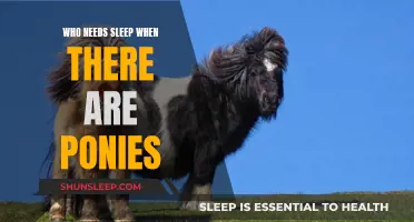 Ponies Over Sleep: A Dreamy Adventure