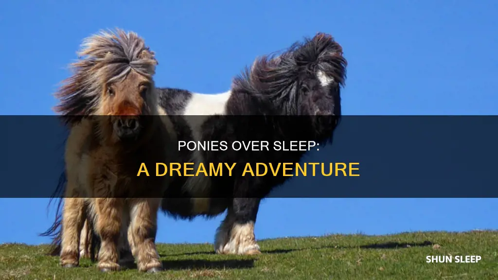 who needs sleep when there are ponies