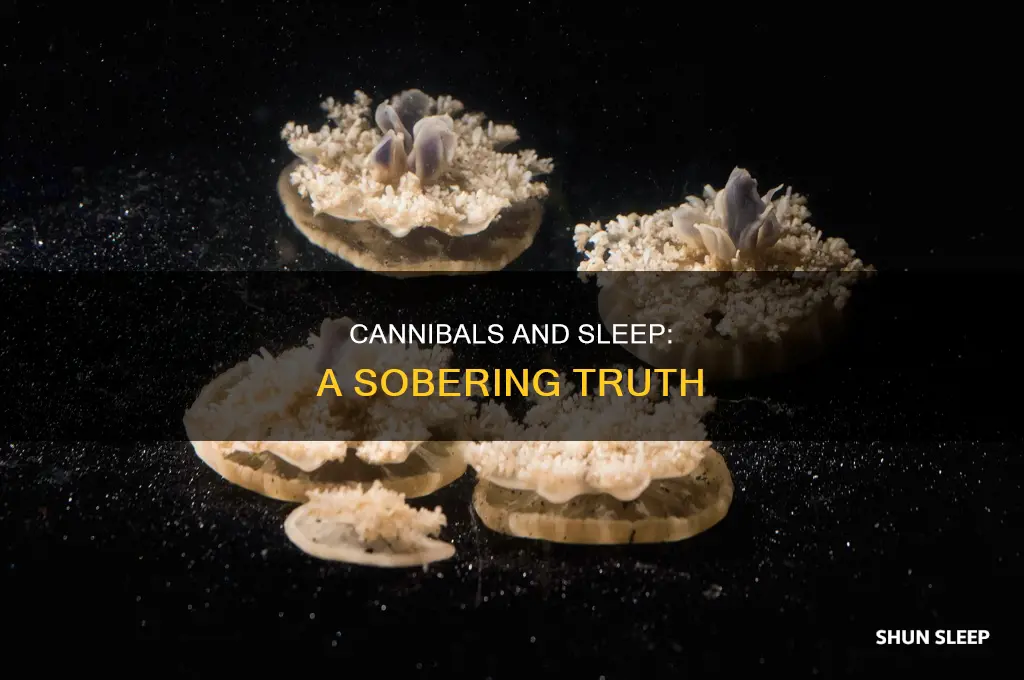 who said better sleep with a sober cannibal
