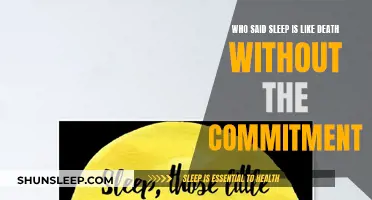 Sleep: Death's Imposter or a Commitment-Phobe's Dream?