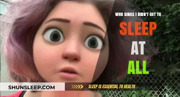 Who Sings 'I Didn't Get to Sleep at All'? Unveiling the Artist