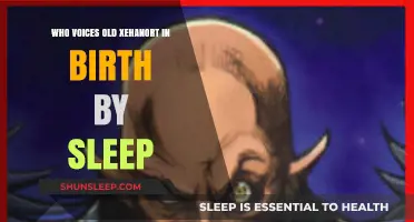 Voice of Master Xehanort: Birth by Sleep