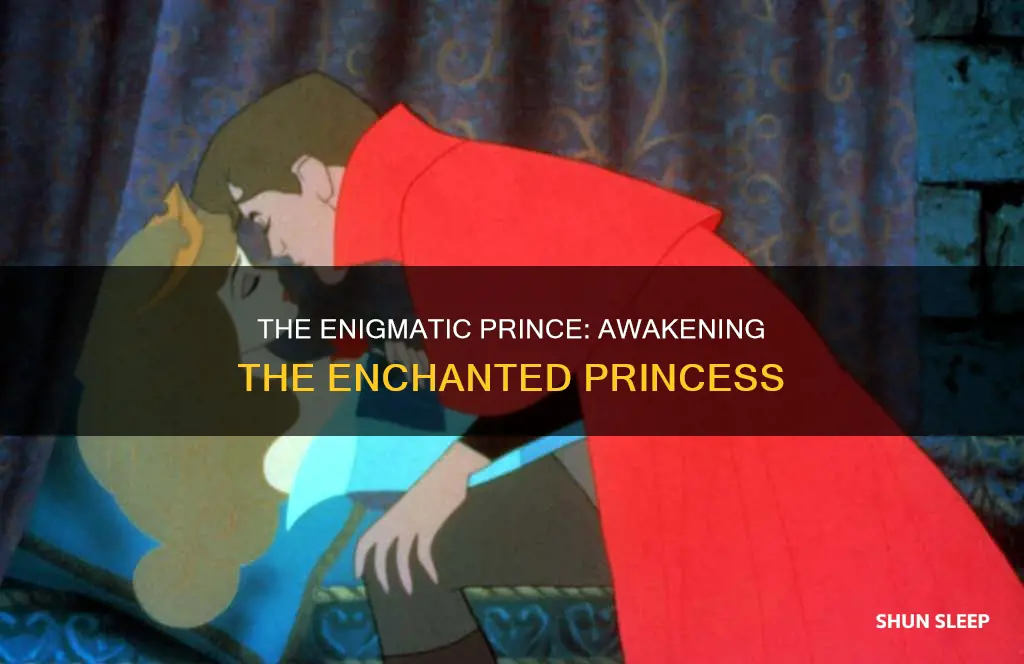 who wakes up sleeping beauty