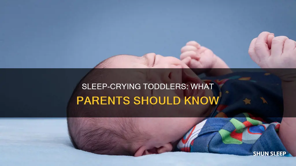 why 2 year old cries in sleep