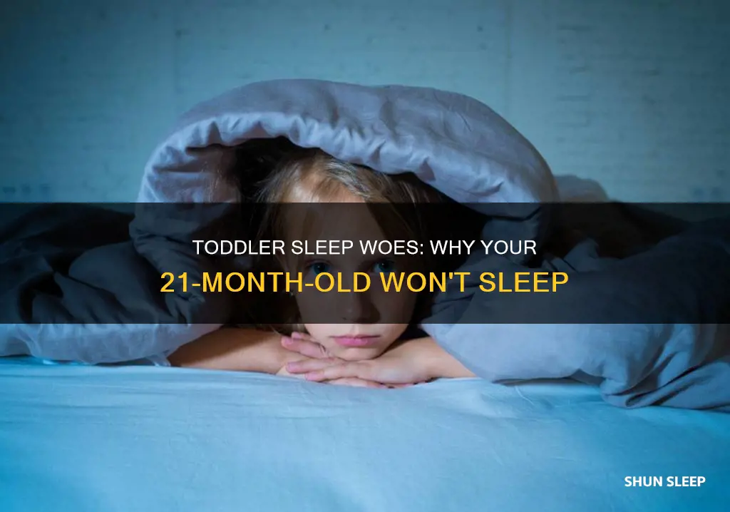 why 21 month old not sleeping