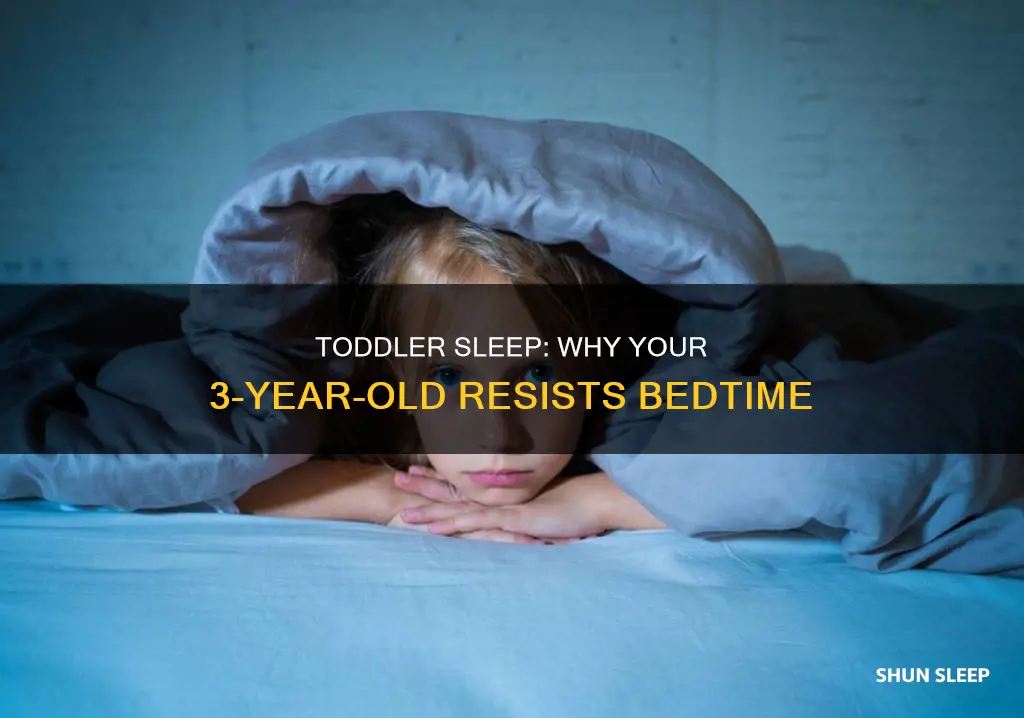 why 3 year olds don