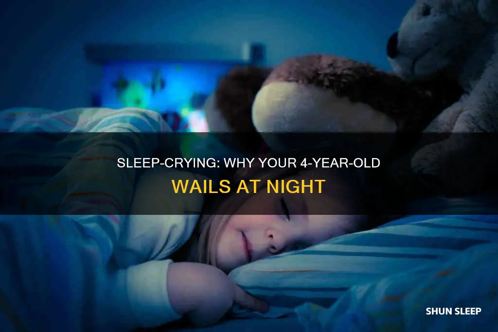 why 4 year old cries in sleep